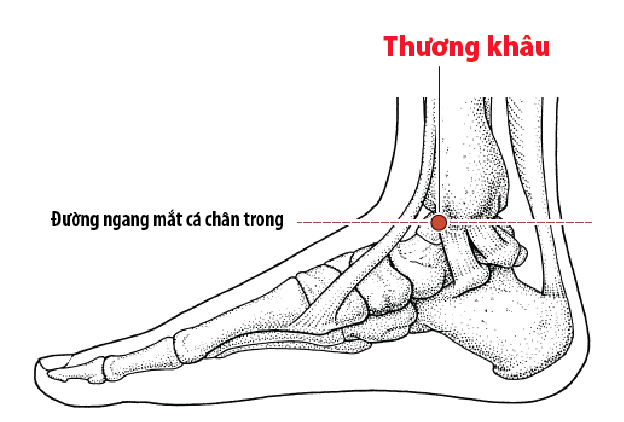 6-huyet-dao-thong-dung-nhat-giup-thai-doc-o-chan-1