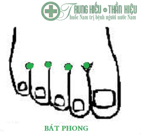 6-huyet-dao-thong-dung-nhat-giup-thai-doc-o-chan-5