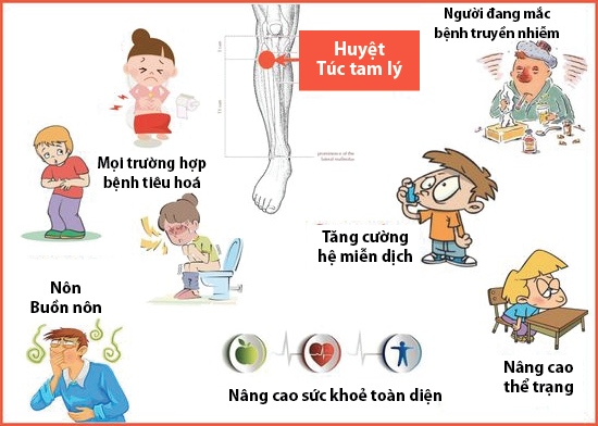Cách massage bấm huyệt Túc Tam Lý tốt cho sức khỏe